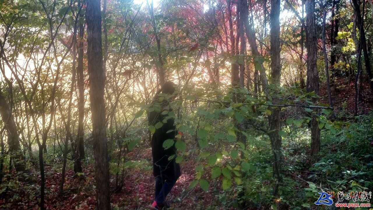 wechat_upload150720338859d6193c02850