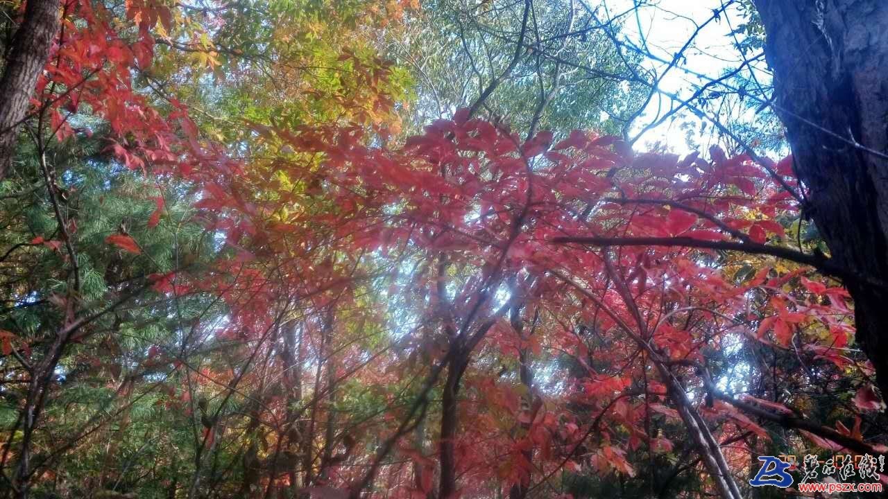 wechat_upload150720338859d6193cd0899