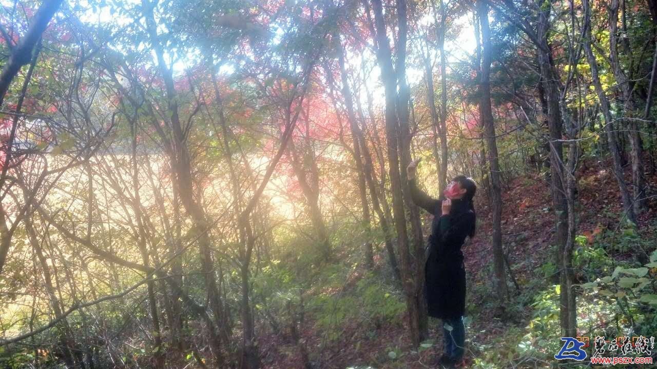 wechat_upload150720338859d6193c4e779