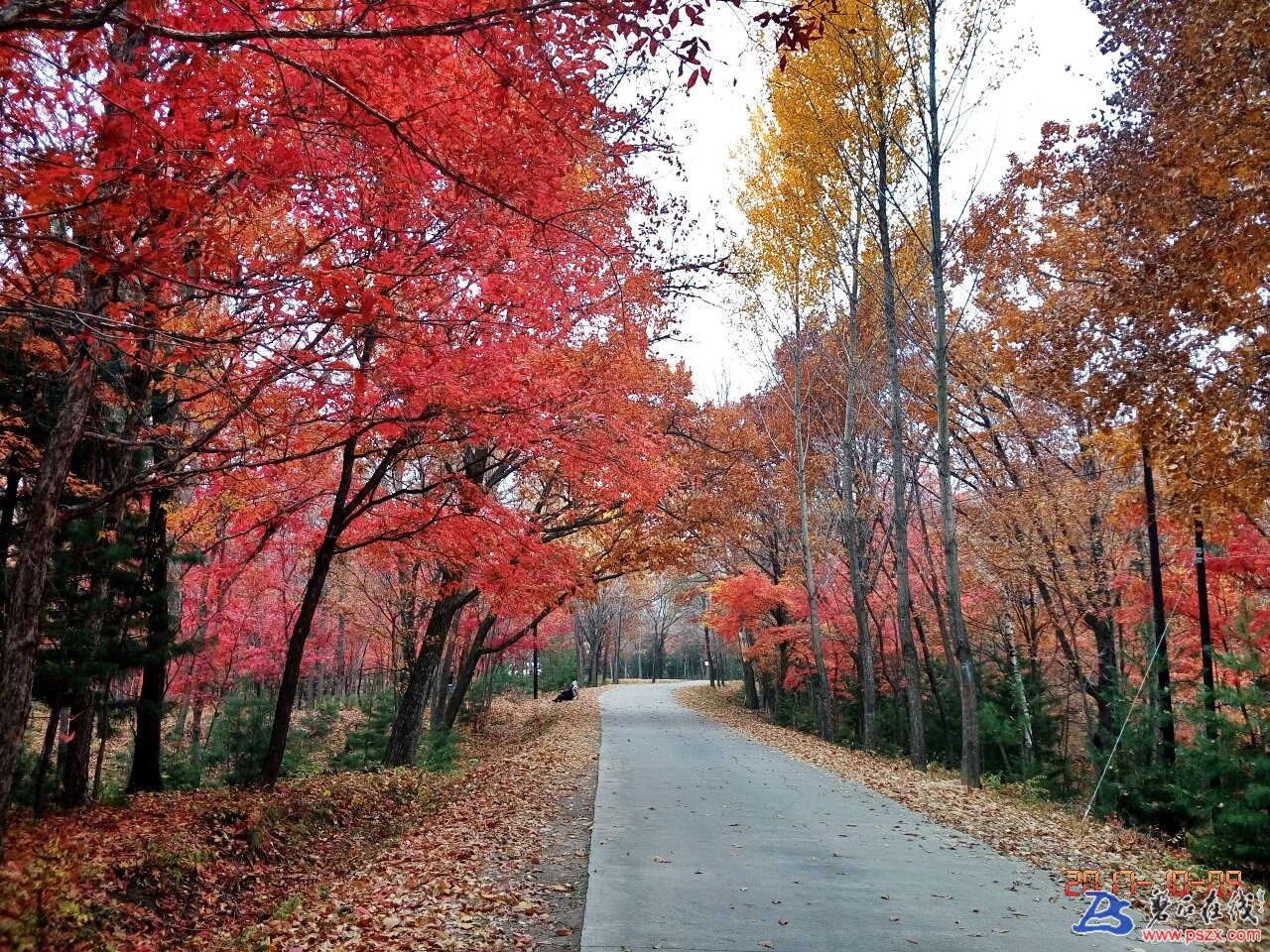 wechat_upload150763946059dcc0a4cceae