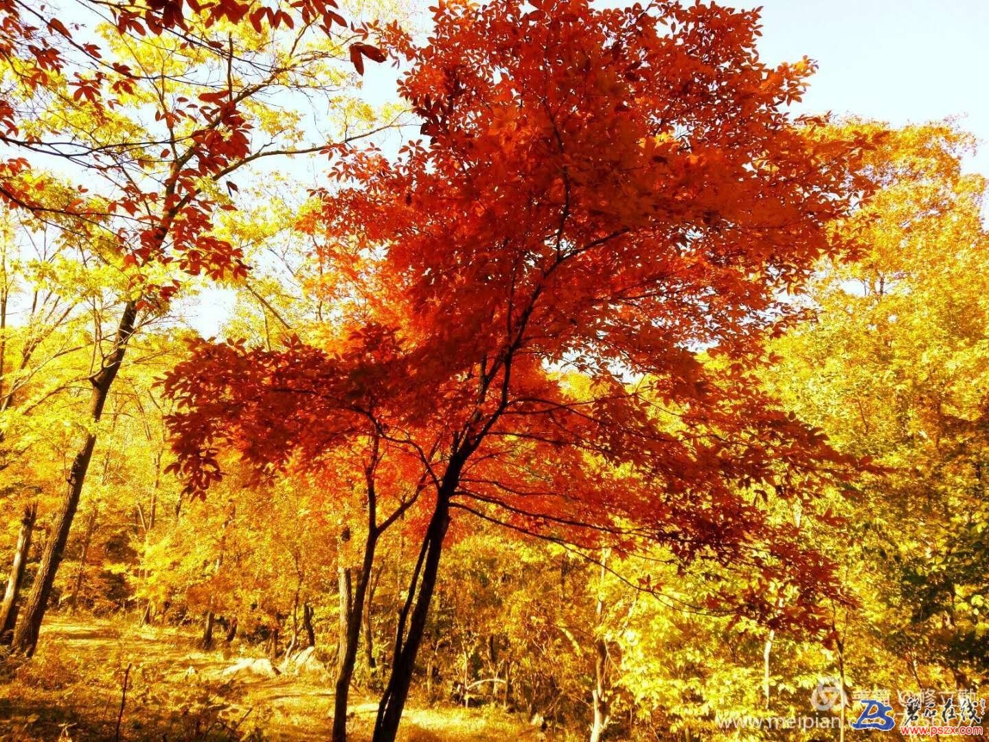 wechat_upload15103177295a059ea1b6b1c