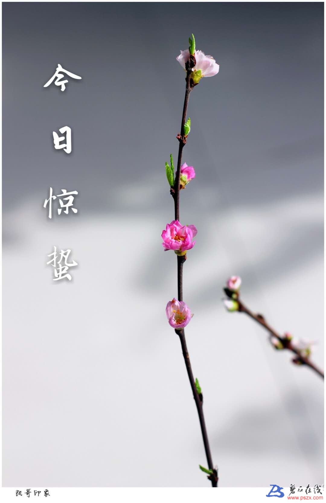 wechat_upload15202551635a9d40bb35852