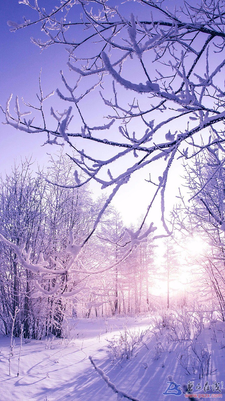 MagazinePic-01-2.3.001-bigpicture_01_5.jpg