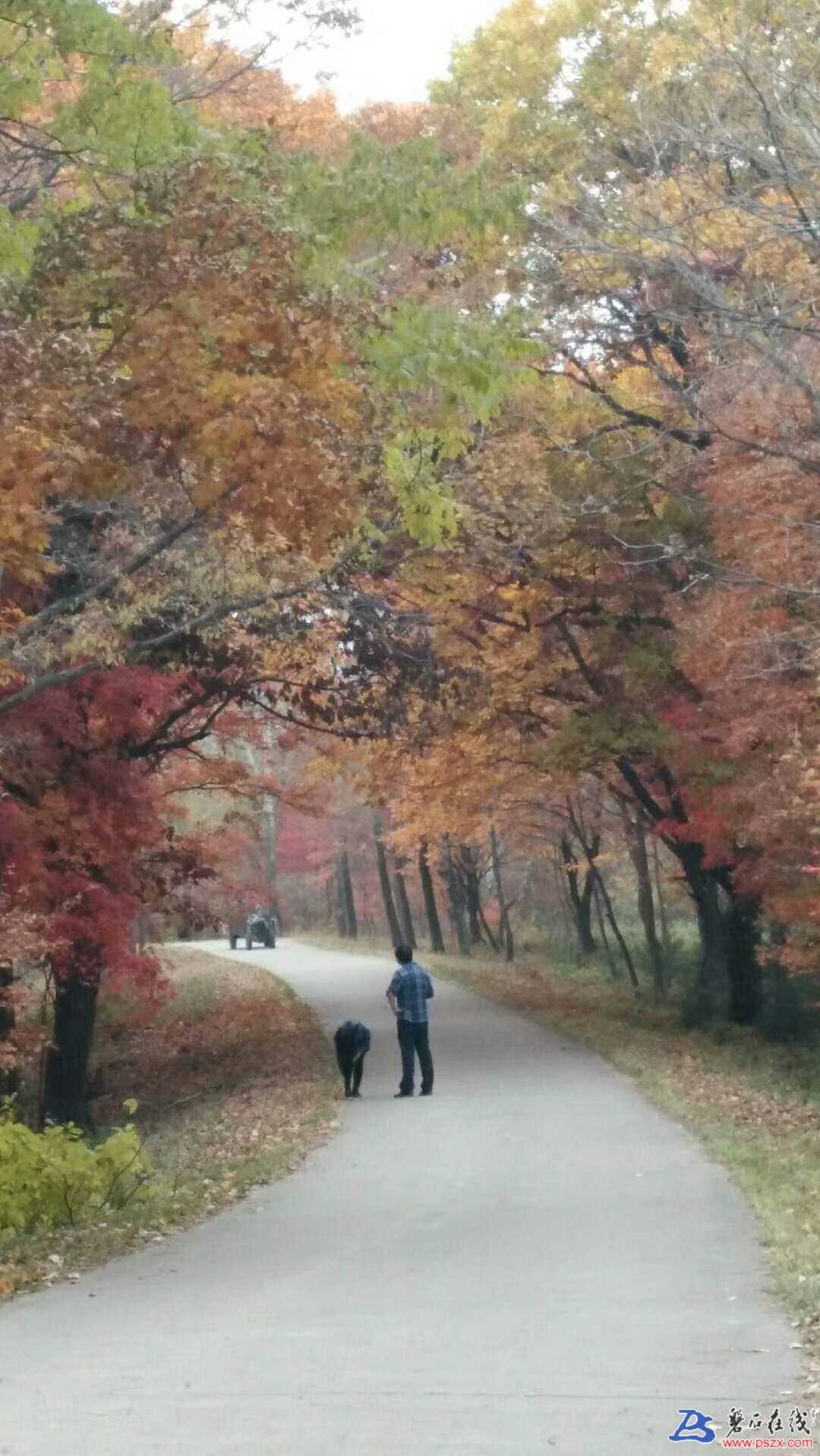 wechat_upload15210223245aa8f574106c6