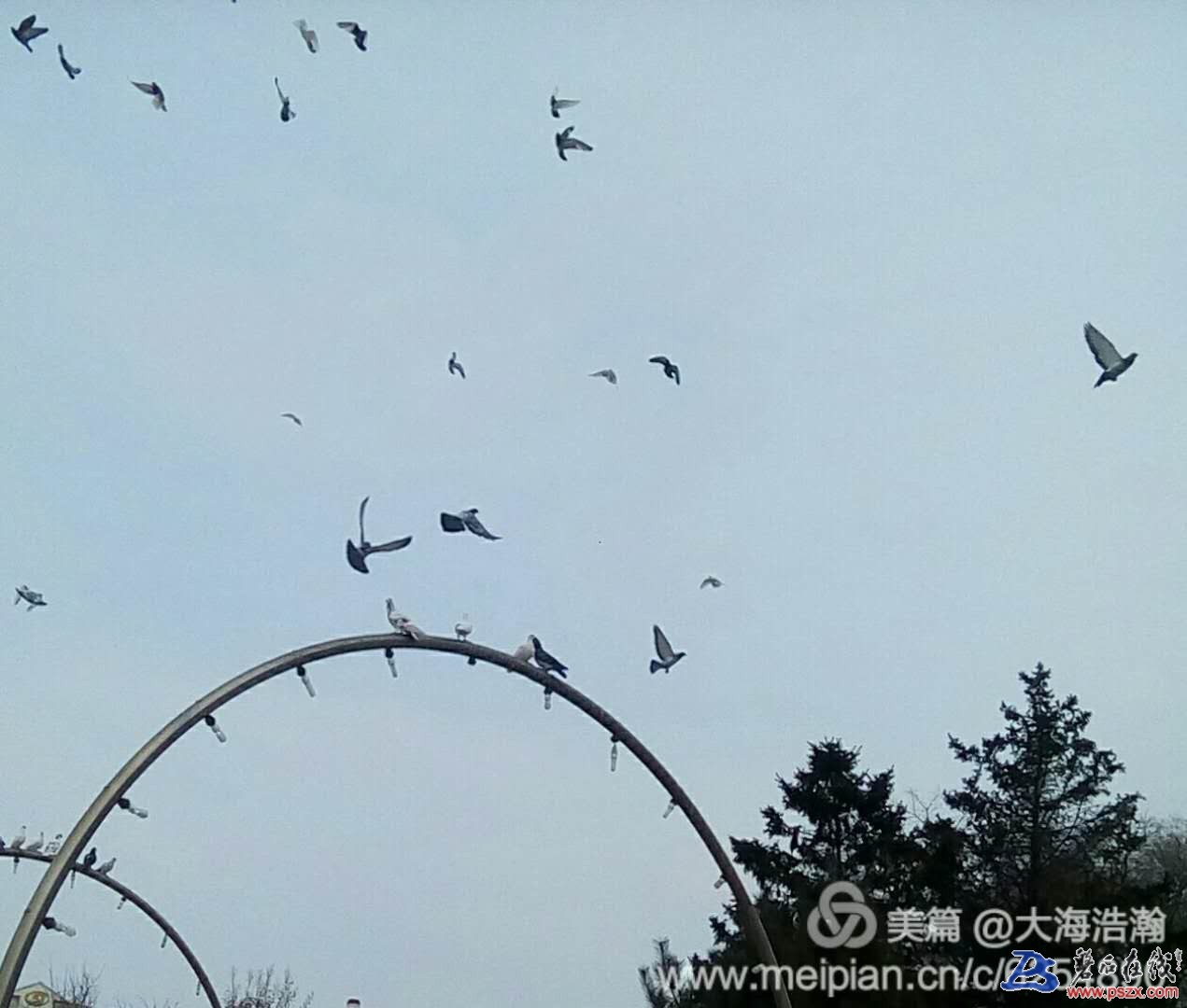 wechat_upload15221611545aba5602ea4d5