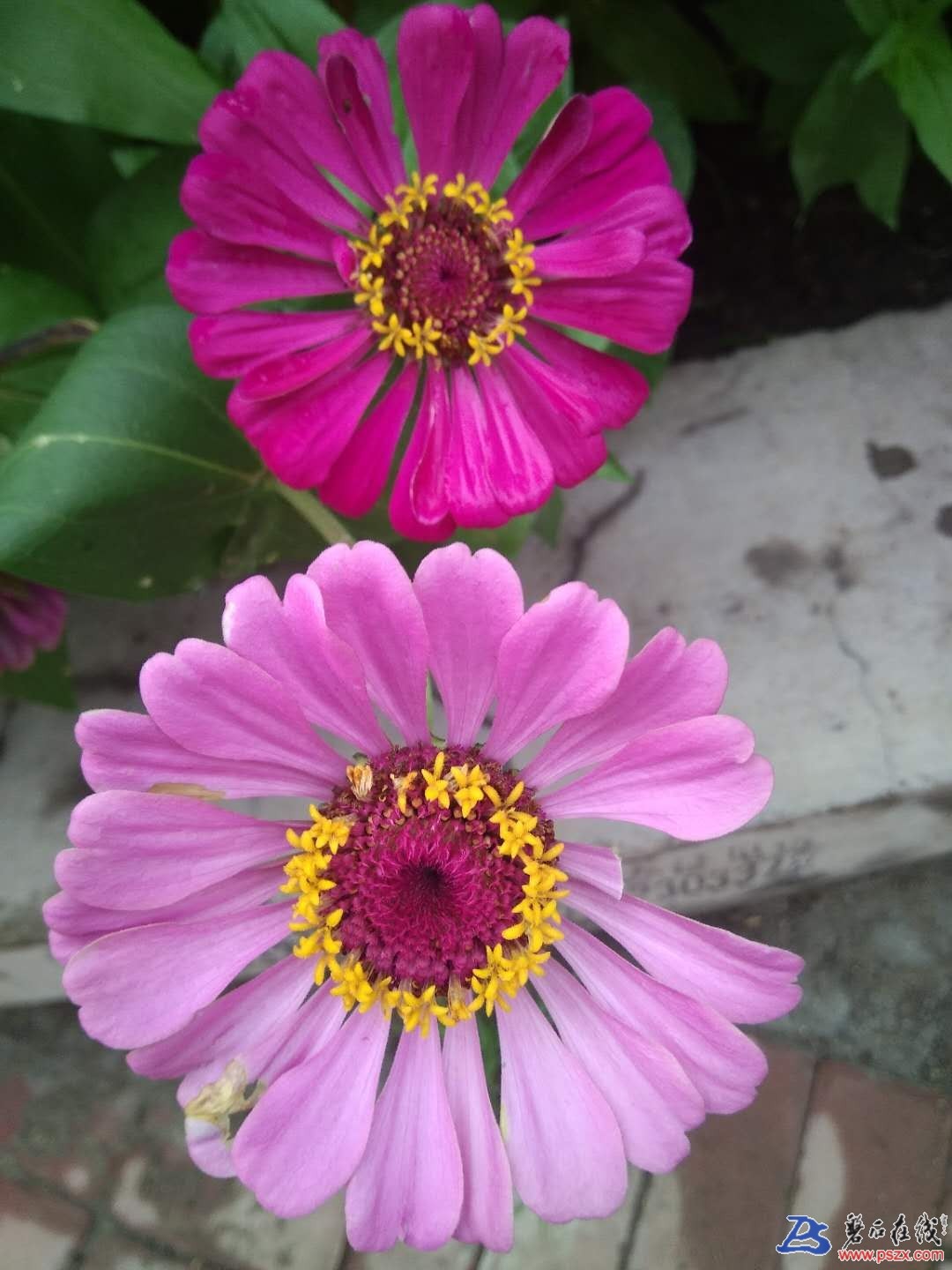 wechat_upload15224630075abef11f9a60c