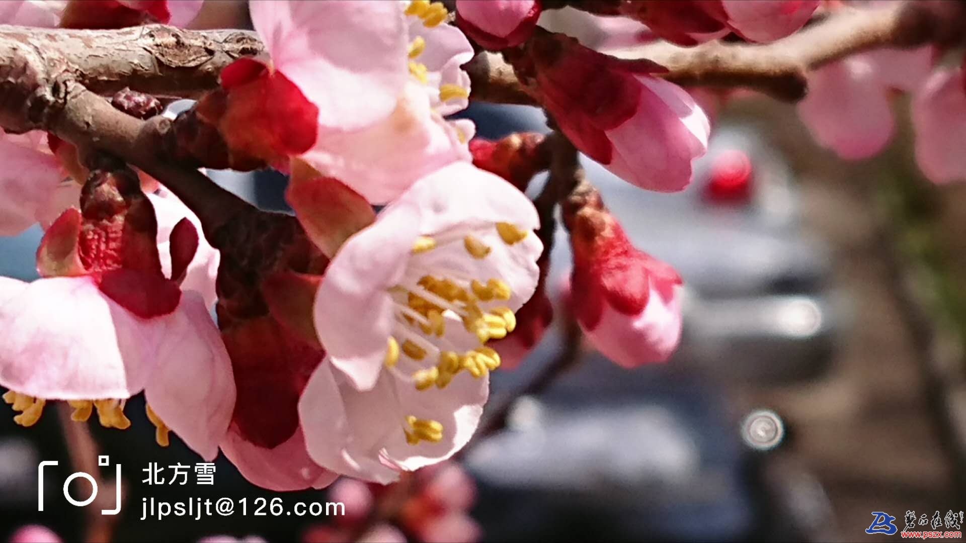 wechat_upload15243712685adc0f44537e3