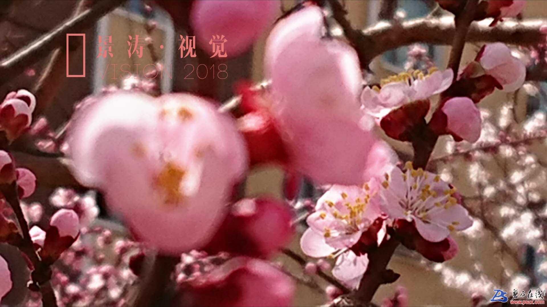 wechat_upload15243712695adc0f4567224
