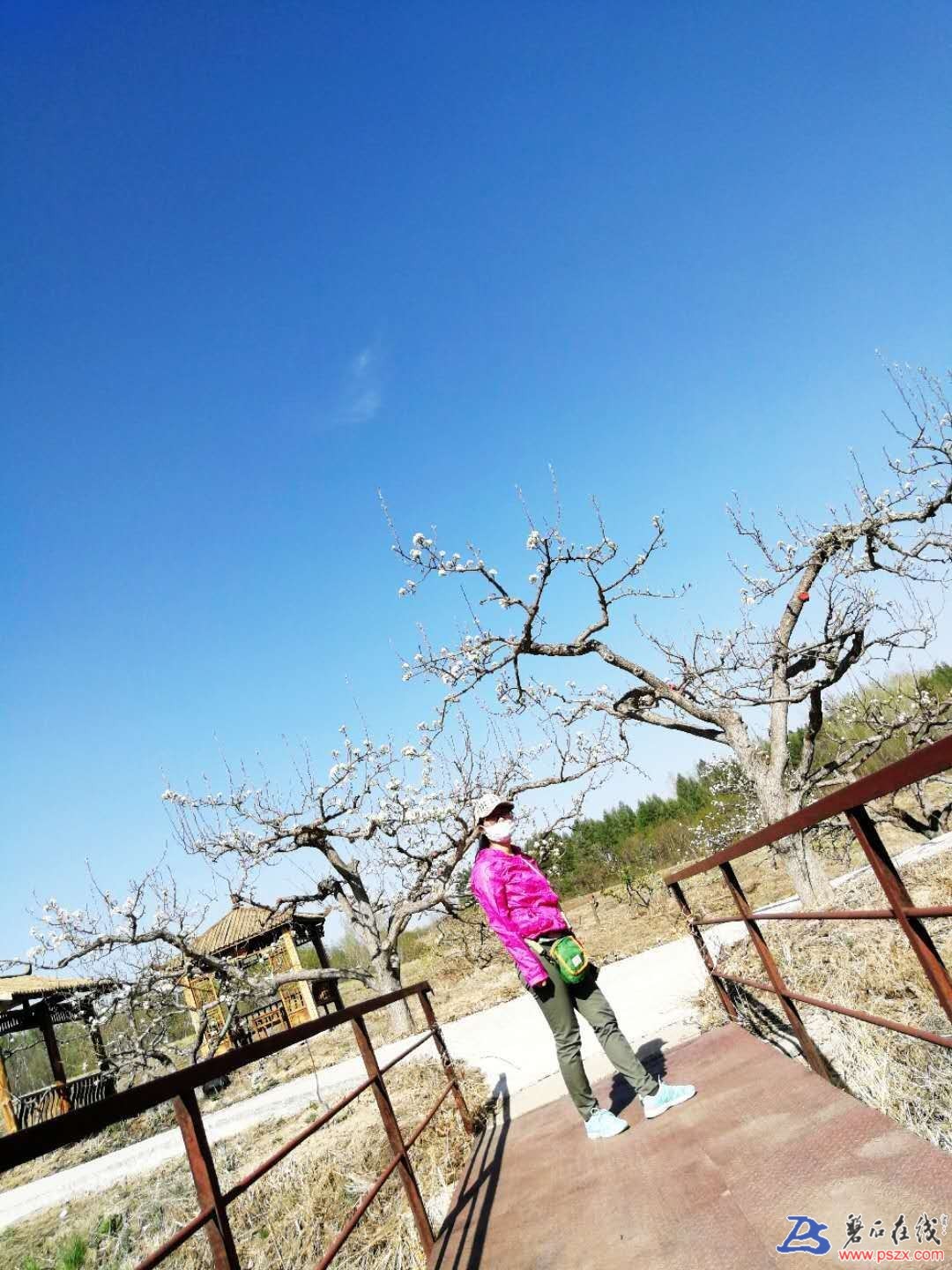wechat_upload15250804385ae6e17602d75