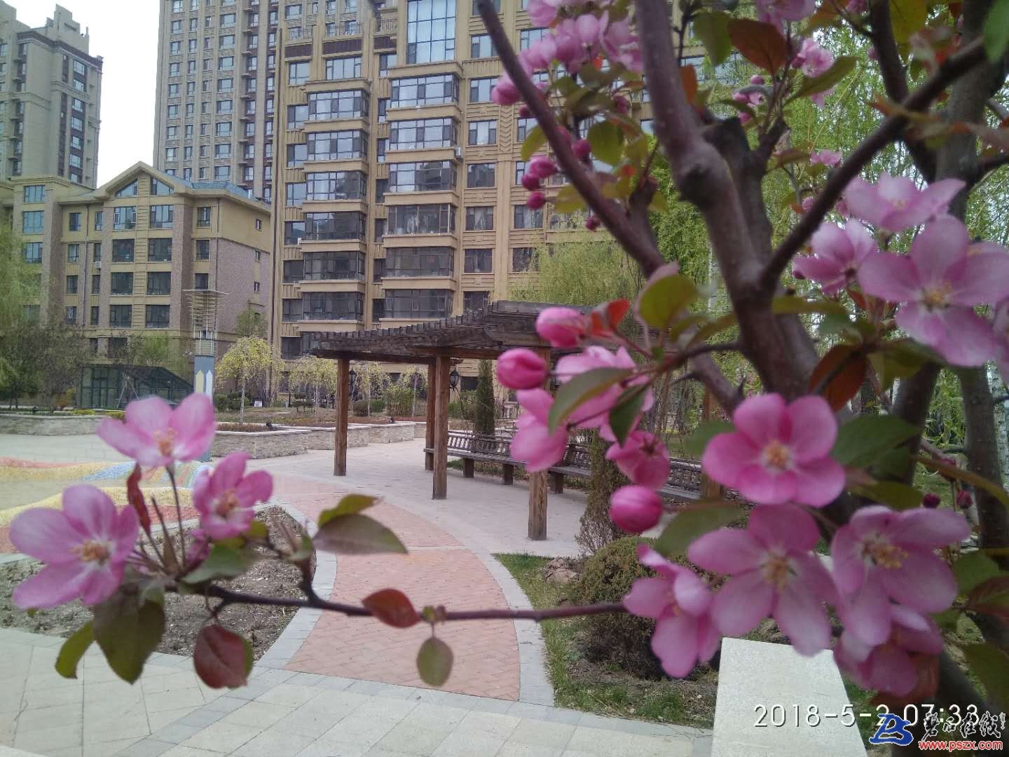 wechat_upload15253347395aeac2d36bf00