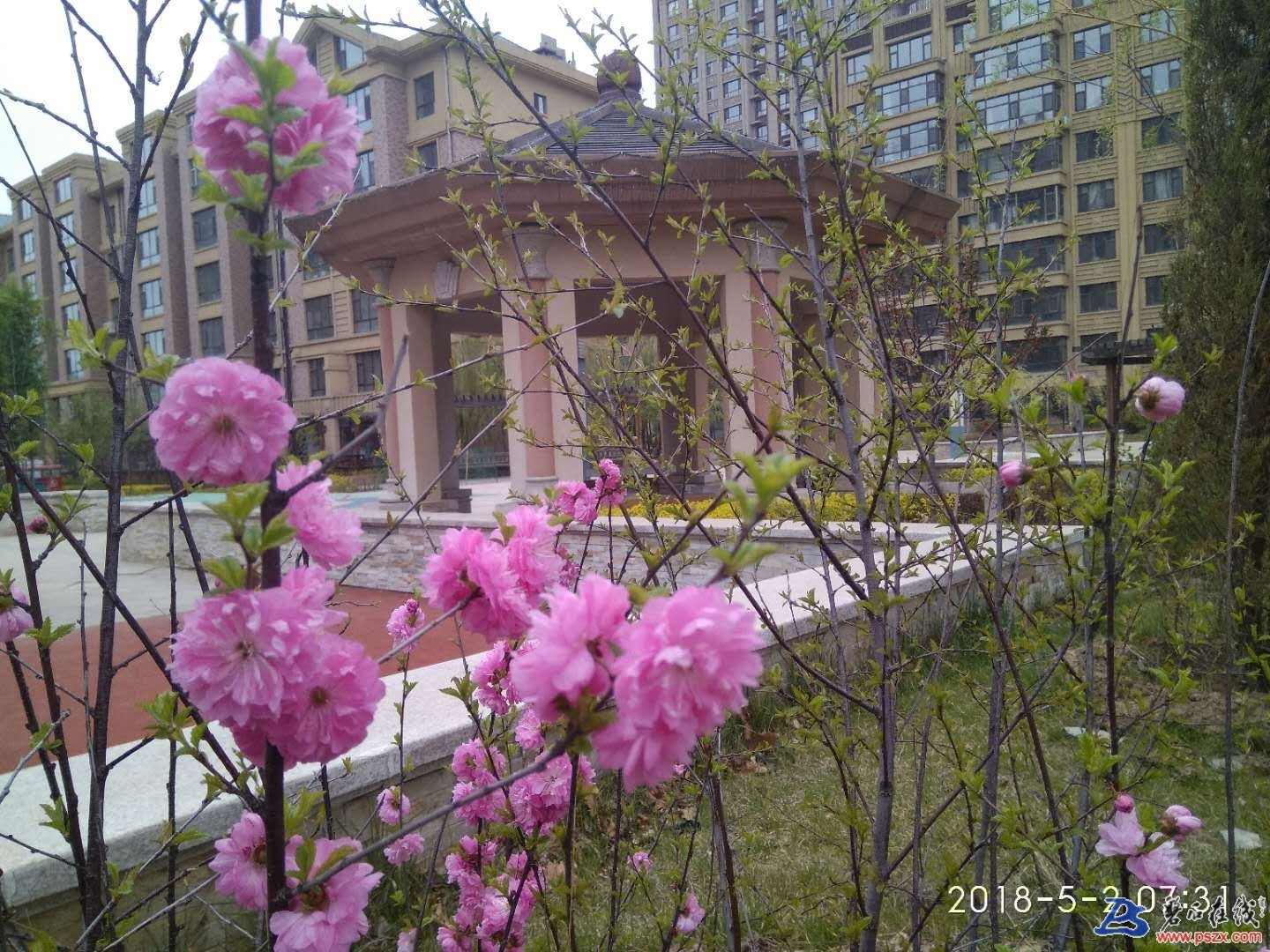 wechat_upload15253347405aeac2d466273