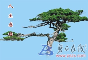 t01de328f2963fab5da.jpg