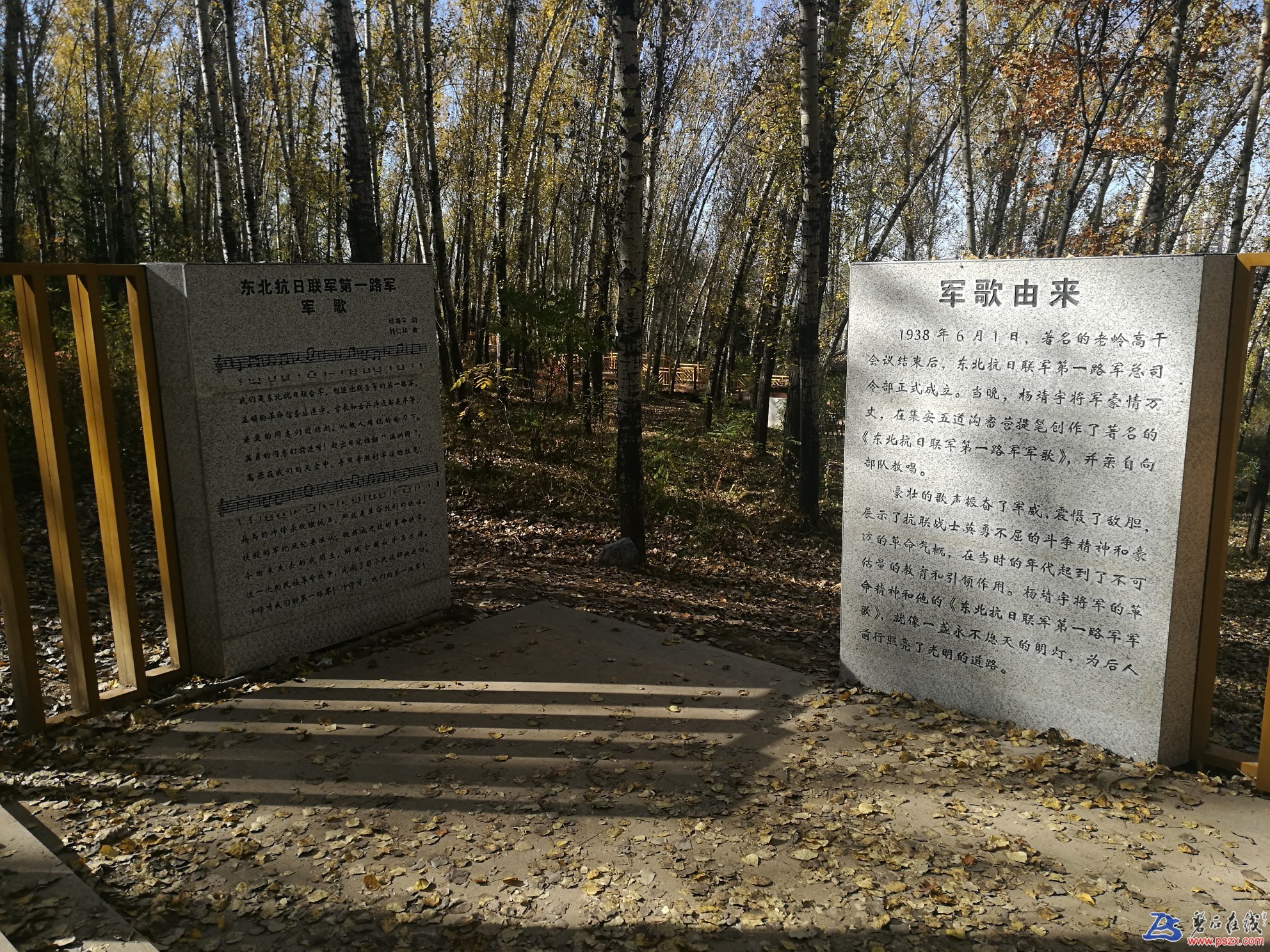 15389495098358_421.jpg