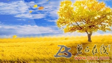 t01575fbf78625d582c.jpg