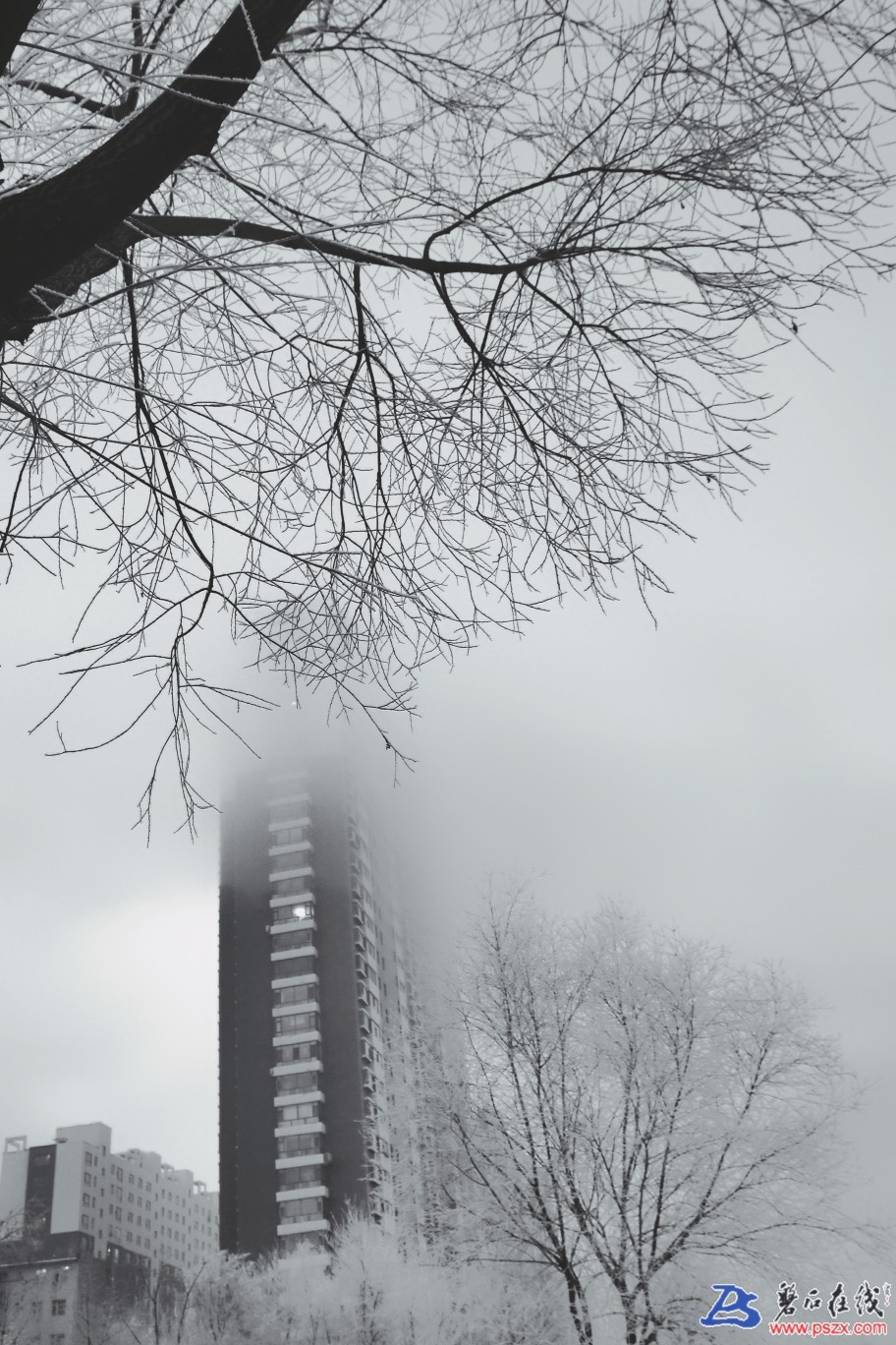 1551312318963795_592.jpg
