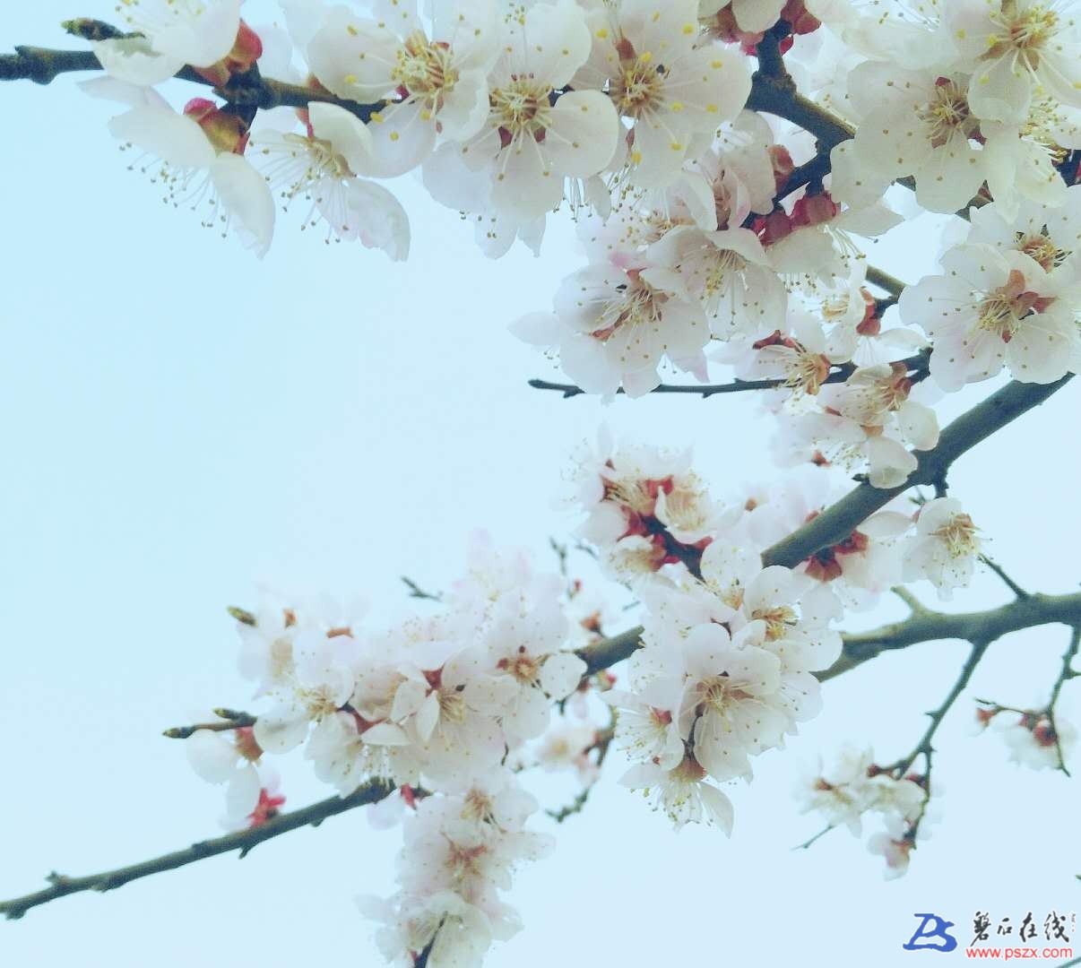wechat_upload15563742715cc462ff94cf5