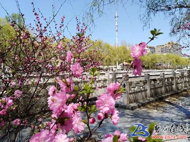 wechat_upload15589086835ceb0f0bf0607