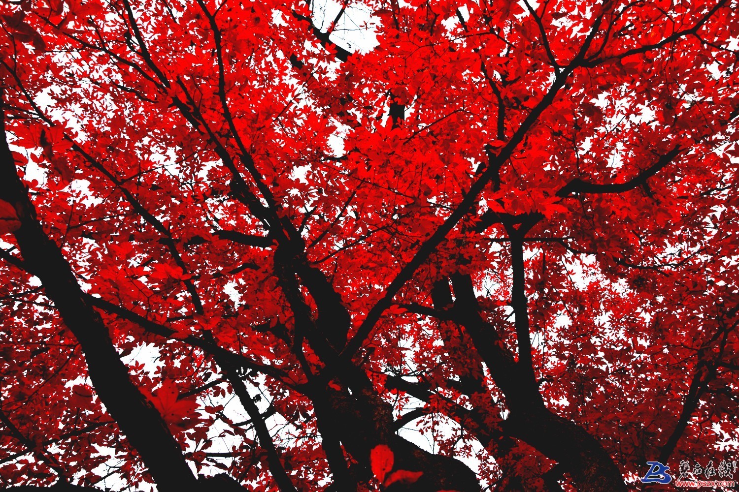 1571392018815324_583.jpg