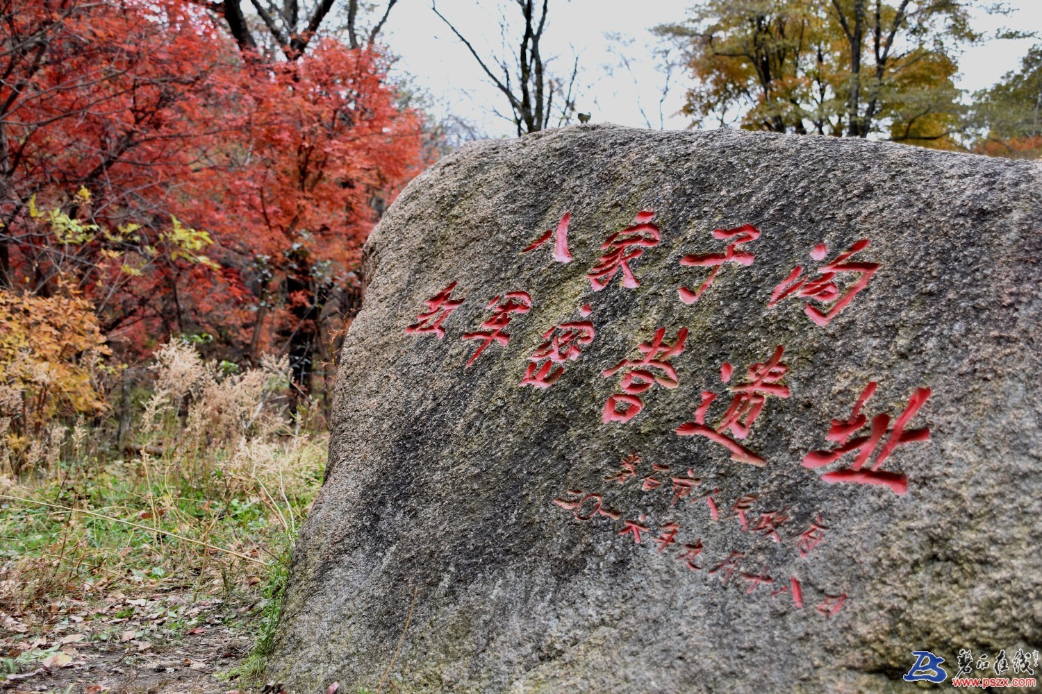 1571392019283604_717.jpg