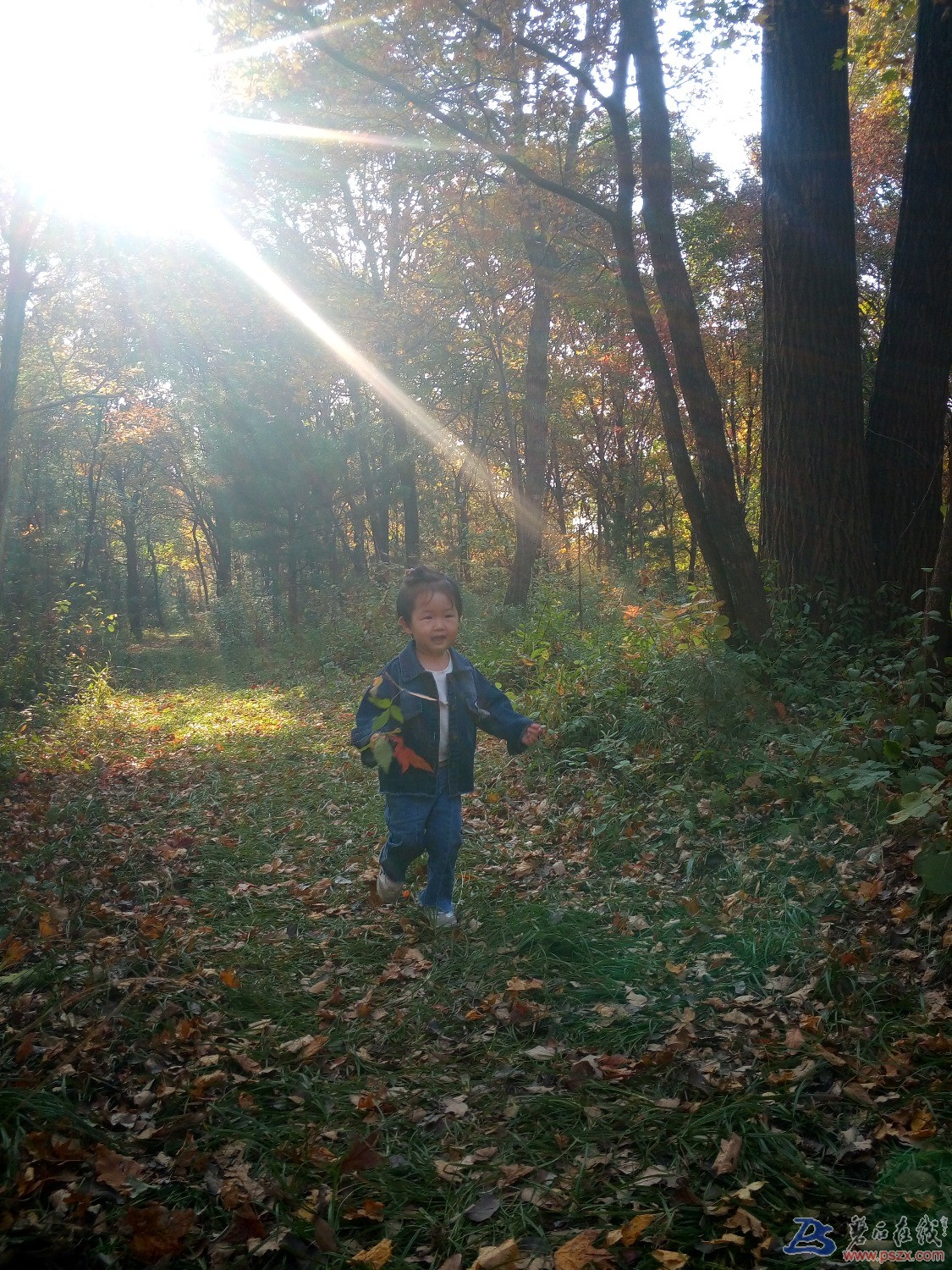 IMG_20191002_145736.jpg