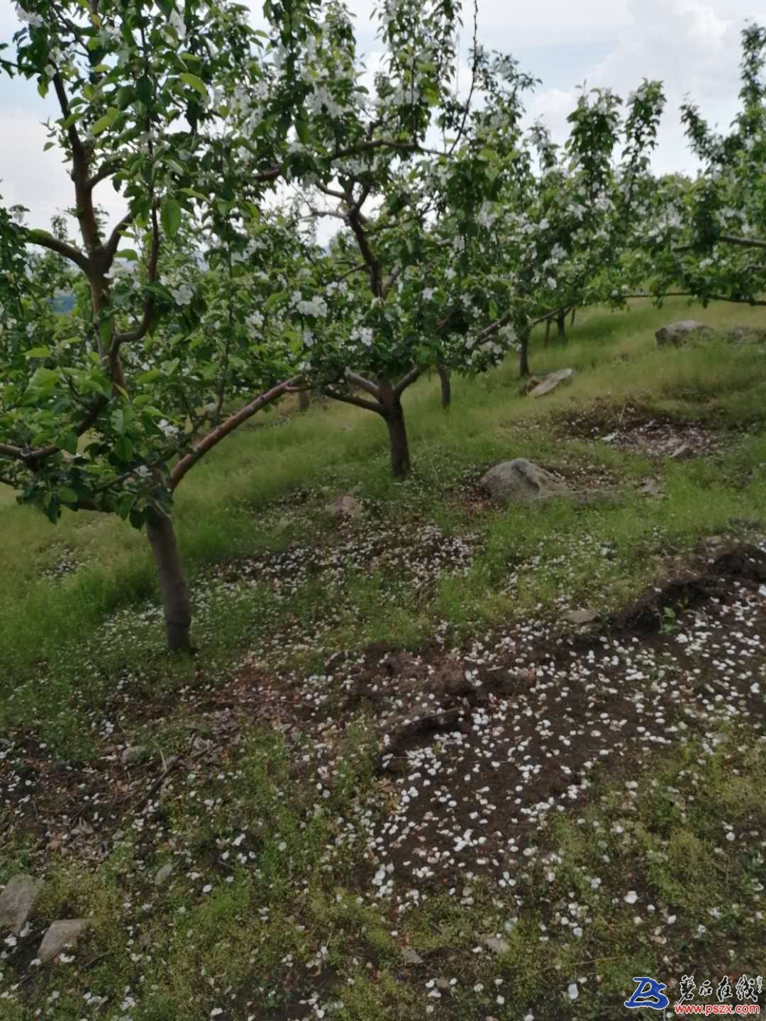 wechat_upload15907390045ed0c03cdb654