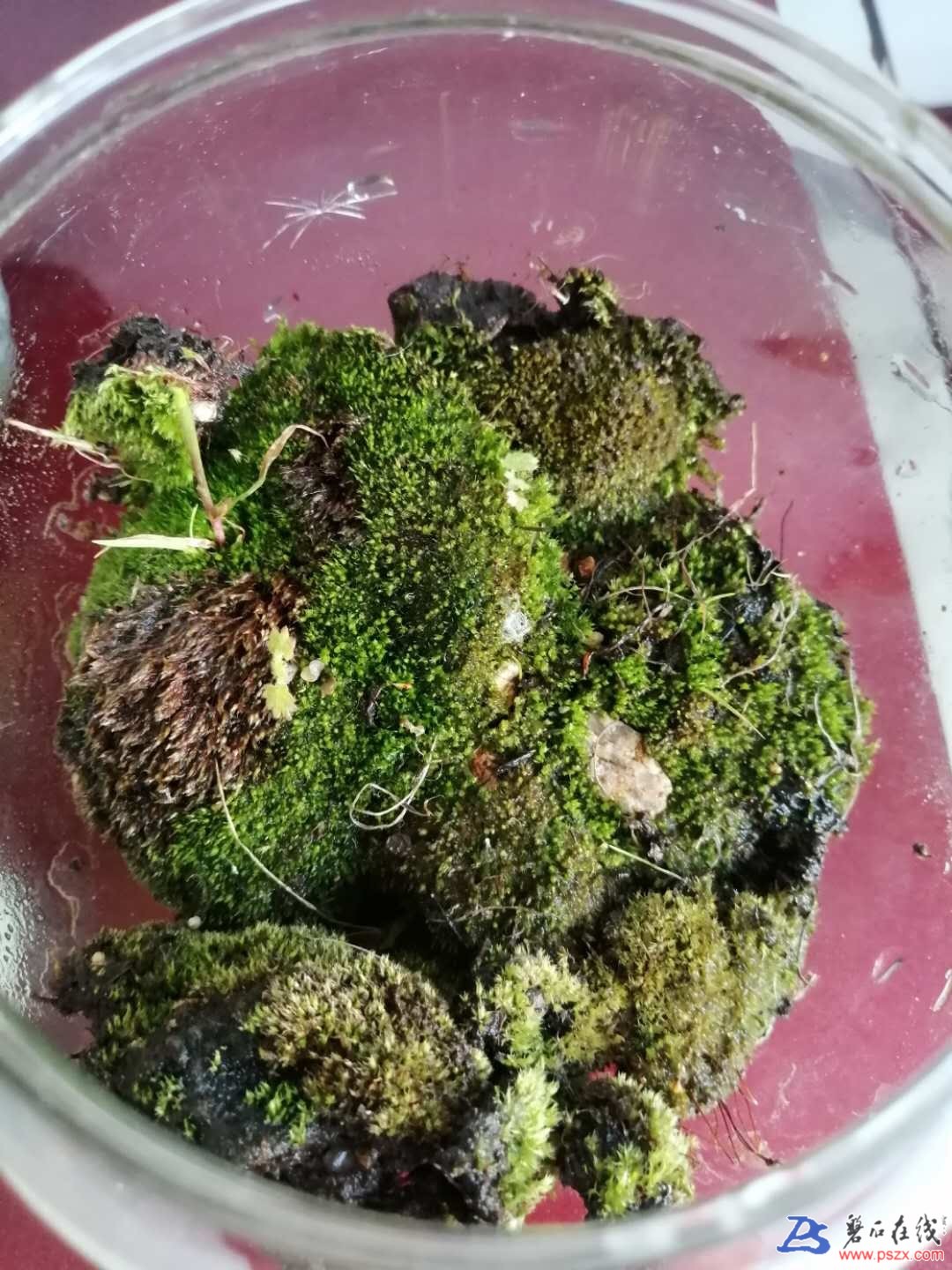 wechat_upload15909669425ed43a9ecd6bb