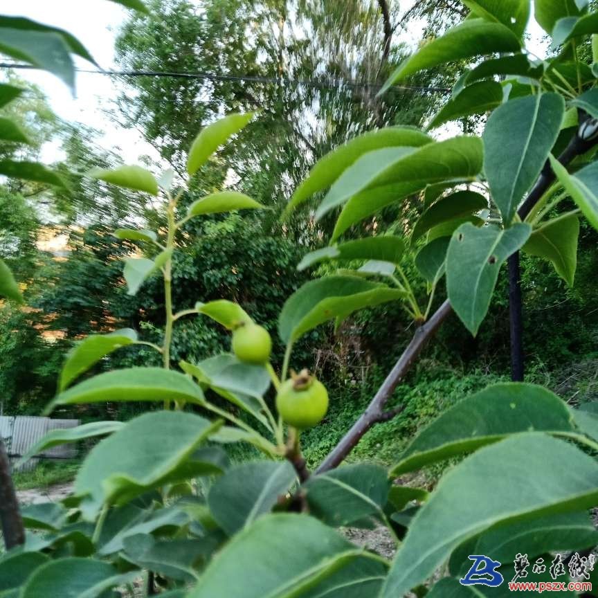 wechat_upload15940296155f02f62fa994f