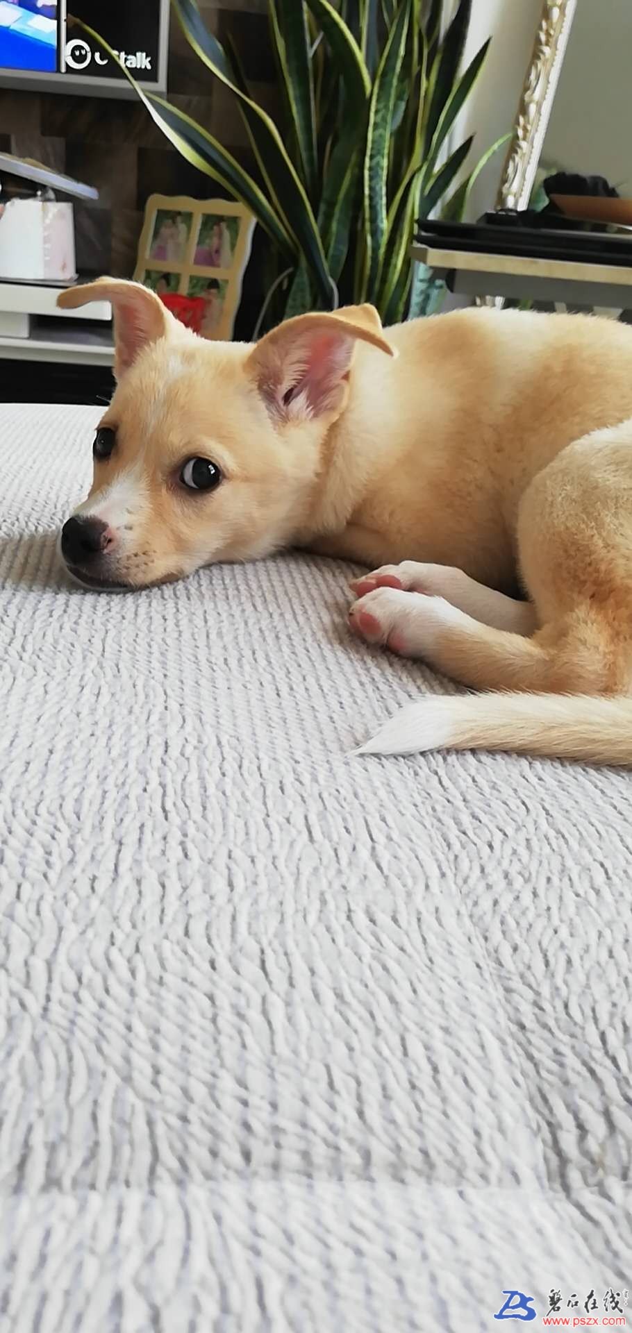 wechat_upload15971107265f31f9c68d754