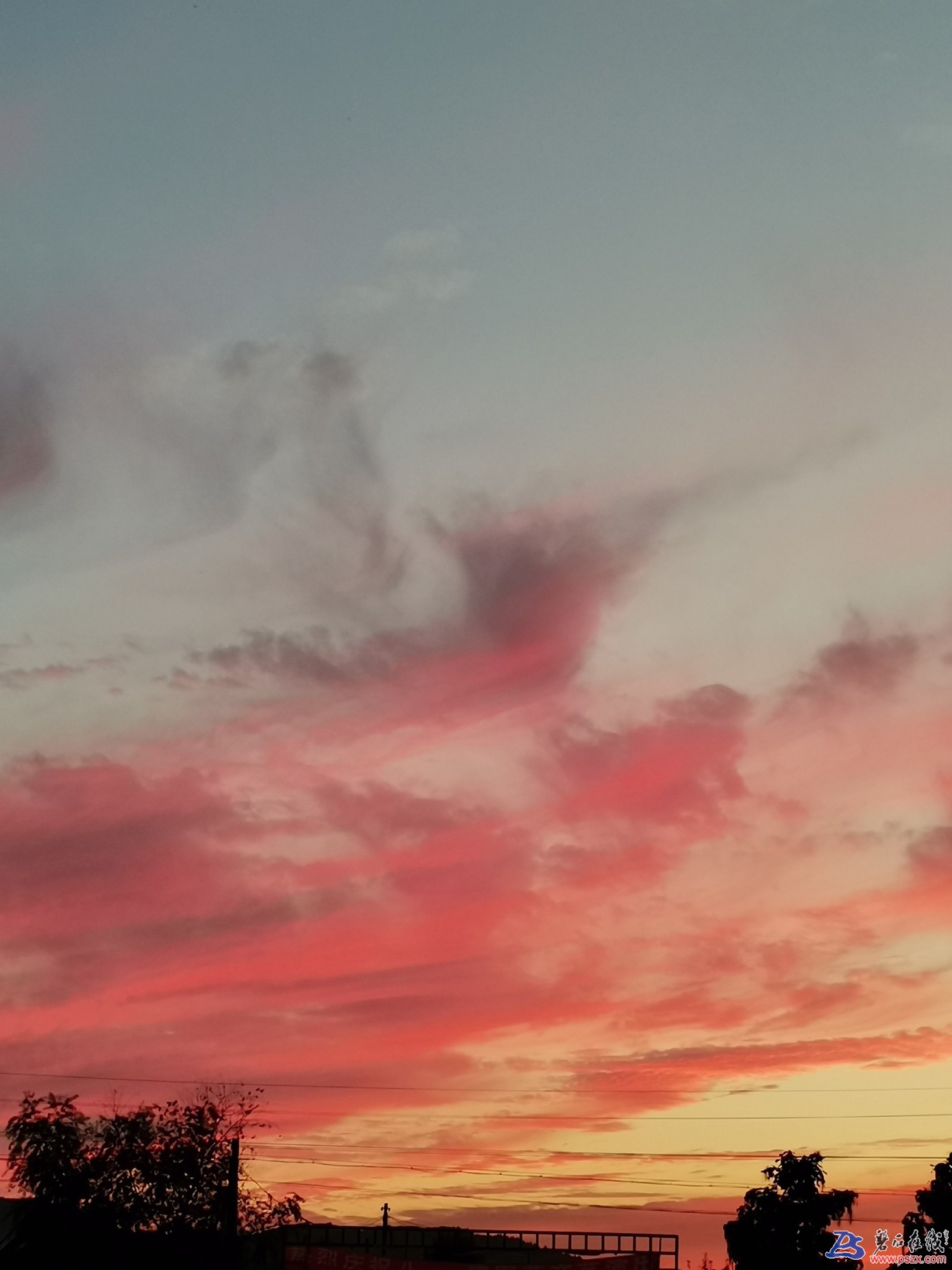 1605533681524889_513.jpg