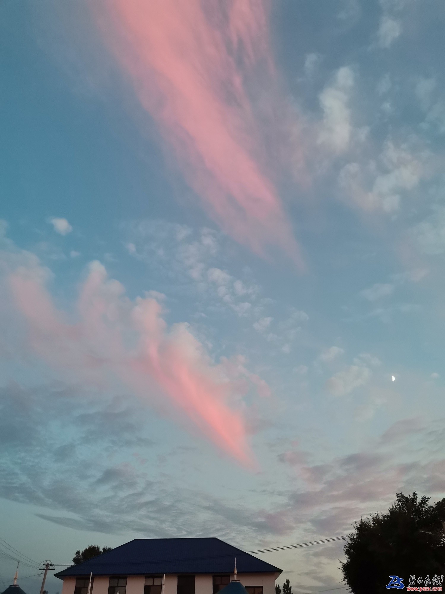 1605533681468597_525.jpg