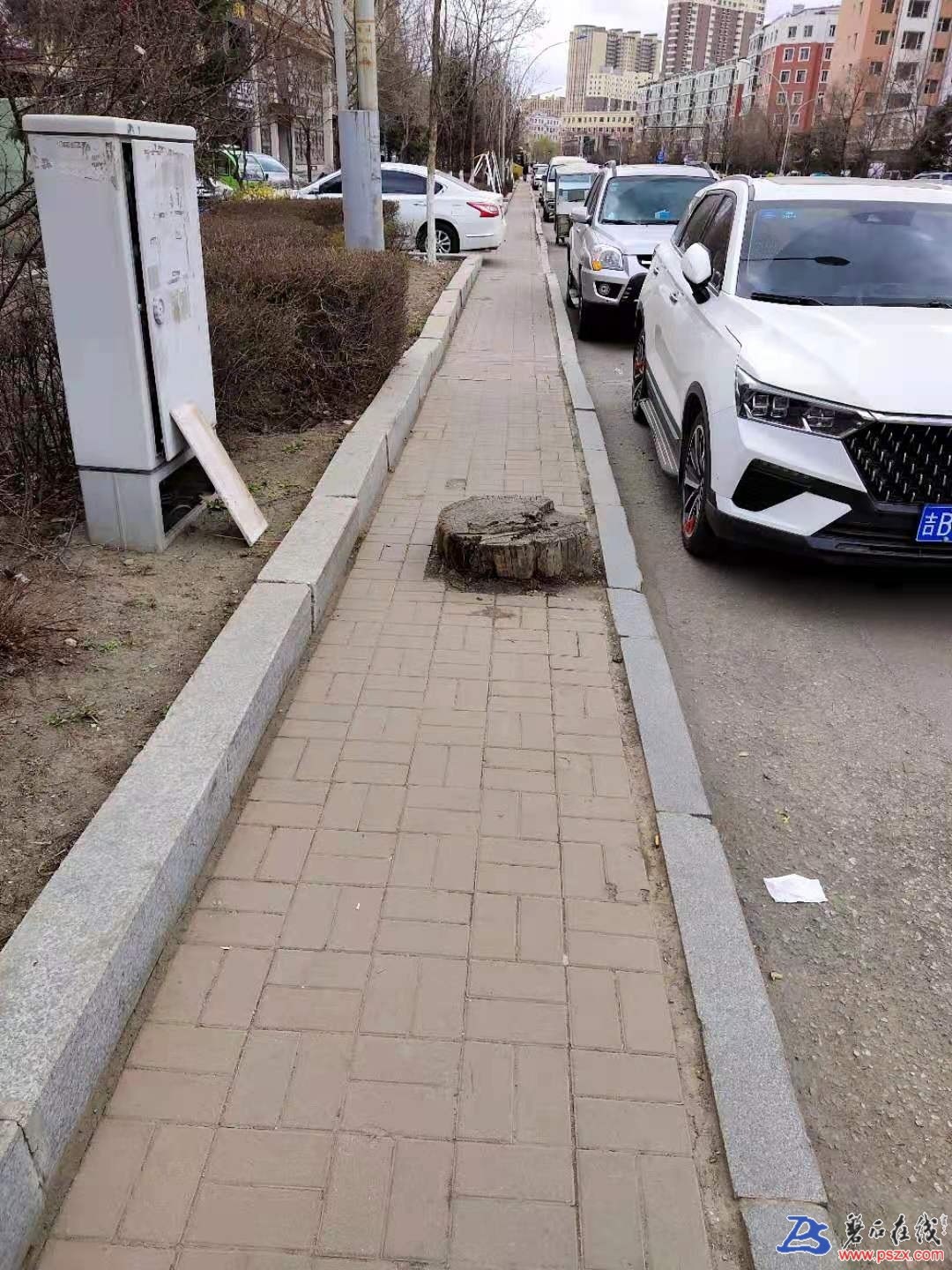 1618694020561745_48.jpg