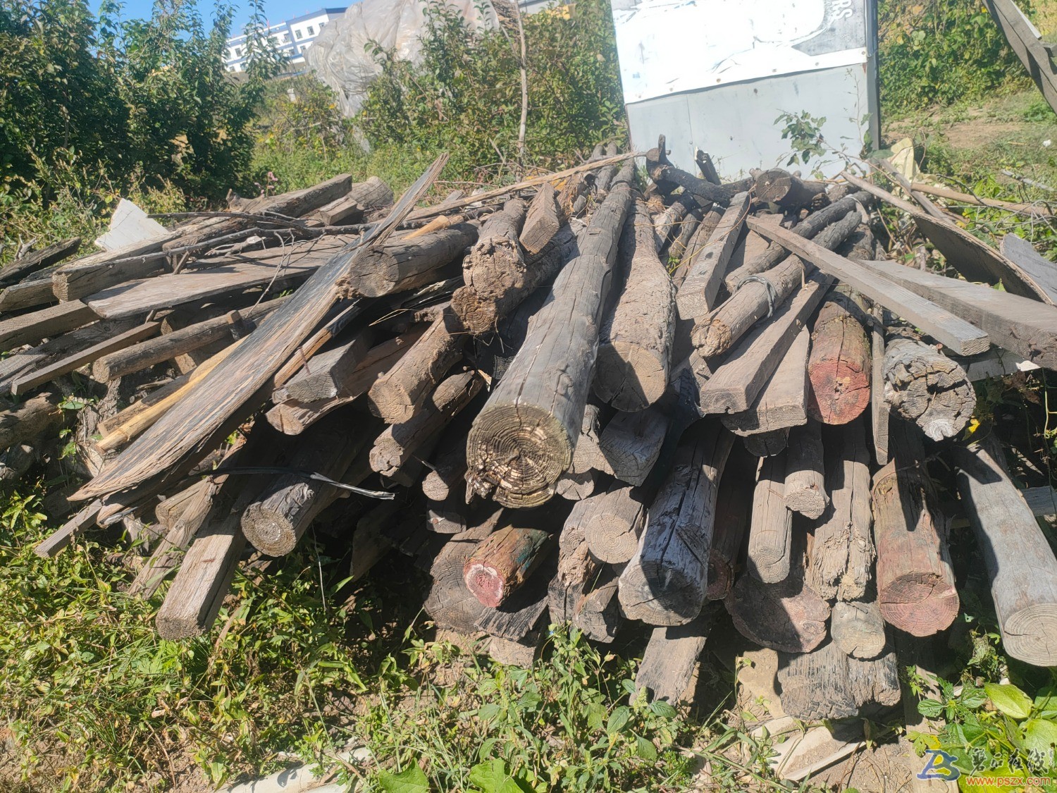 IMG20210912114044.jpg