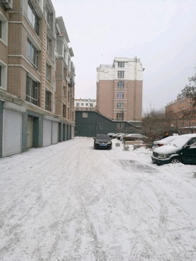 小区里的大雪
