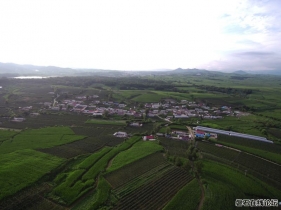 位于磐石市黑石镇福安葡萄基地