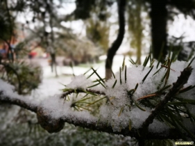 2016第一场雪，欢迎大家把雪景照片发来看看