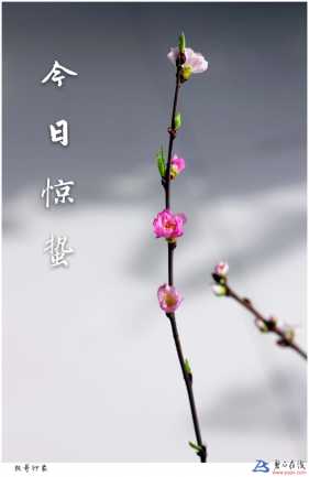 今日惊蛰