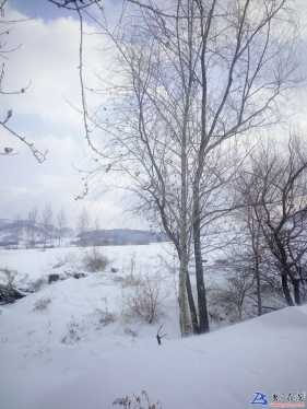 明城镇下鹿村雪景，美不美?