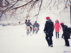 二0二一年十二月十六日早，大雪。