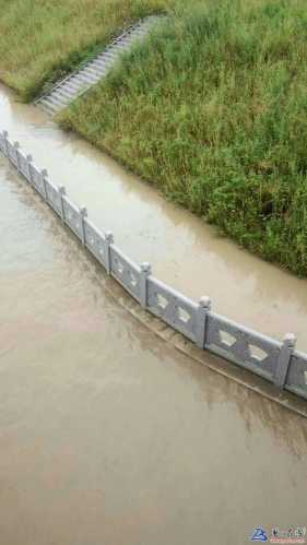 昨晚大雨后，磐石市区大河水位