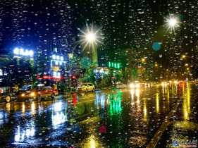 昨夜的雨，拍摄於石城大街，时间，201 ...