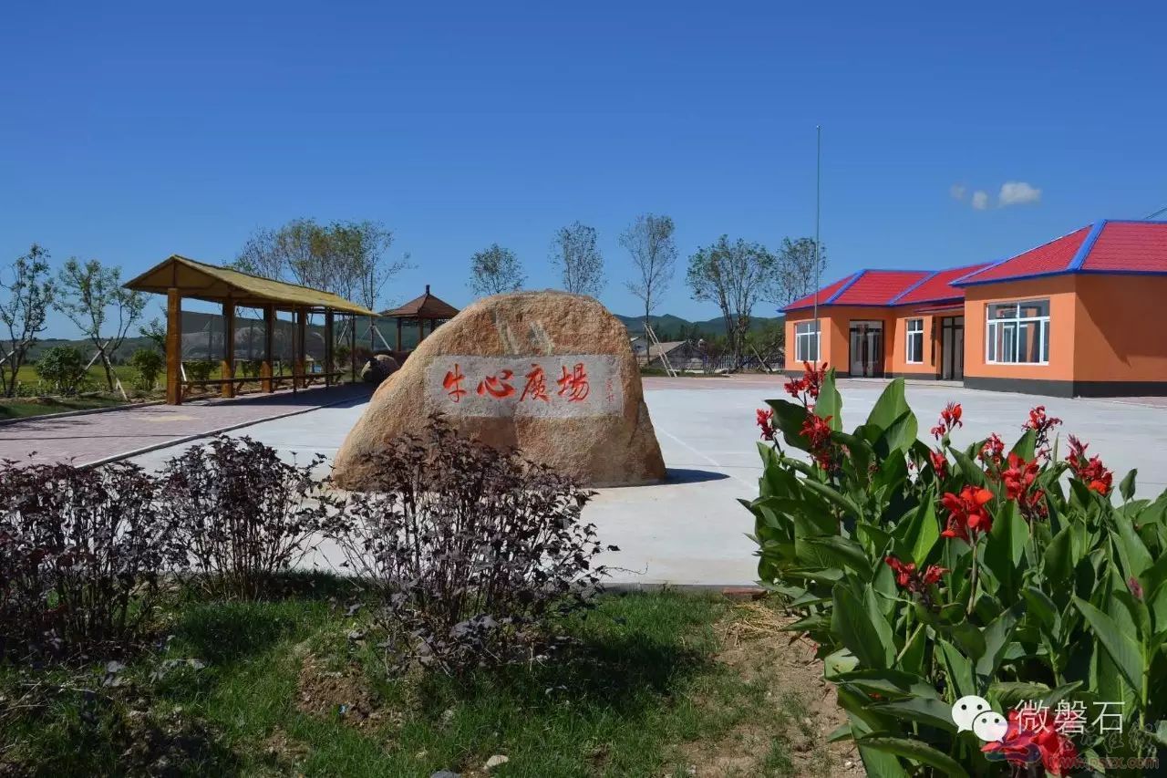 您心目中磐石最美乡镇是哪呢？