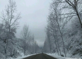 磐石微友发的早上的雪景