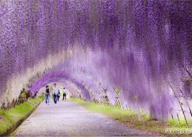 紫气东来、春的温情，
