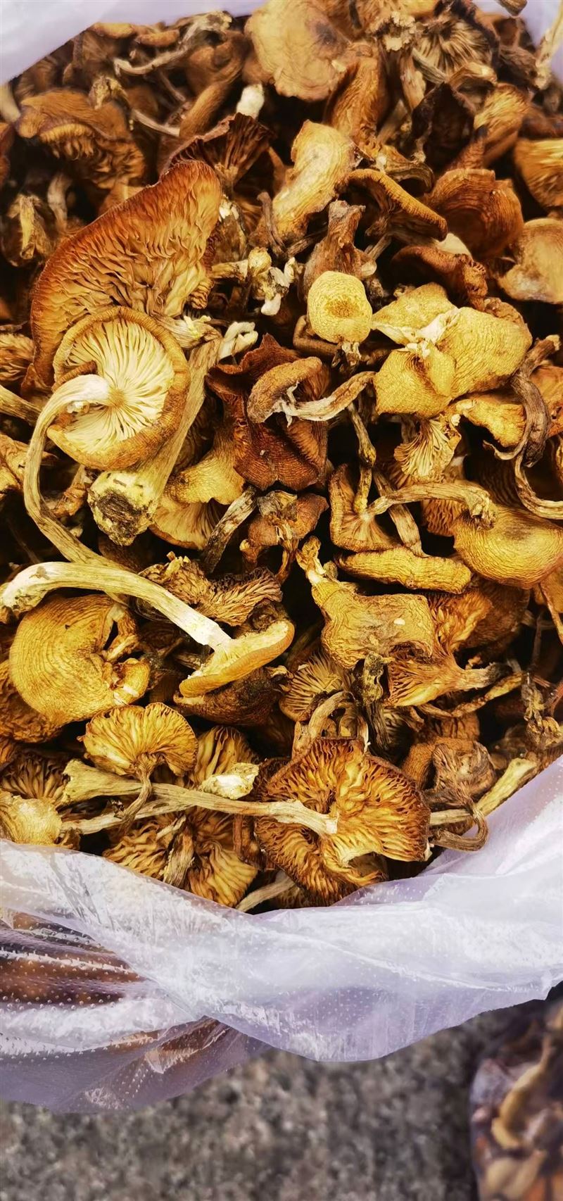 出售笨鸡蛋,榛蘑干