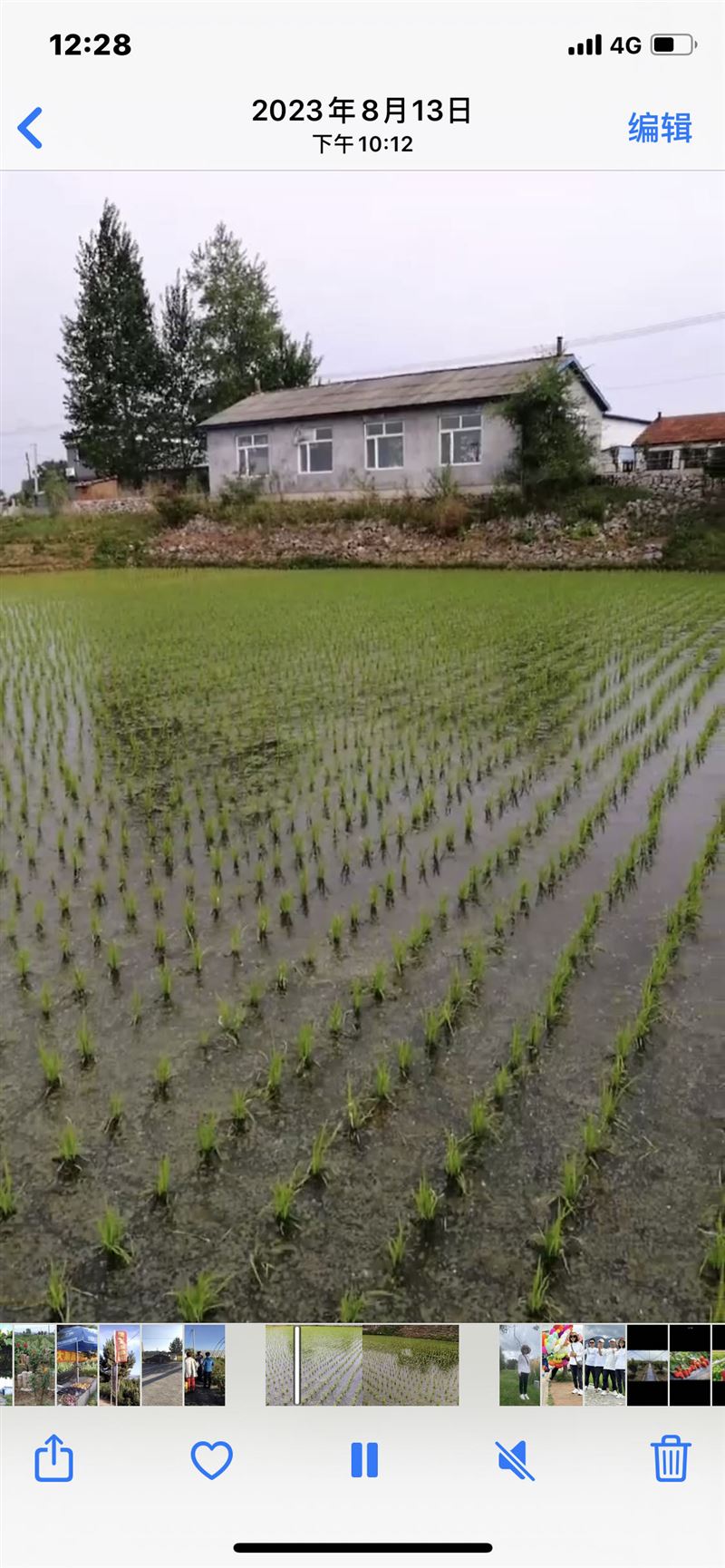 农家大院出阻